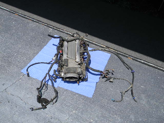 Name: DSCN0205.jpg
Views: 13
Size: 61.5 KB
