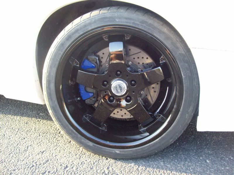Name:  106_0270.jpg
Views: 22
Size:  80.5 KB