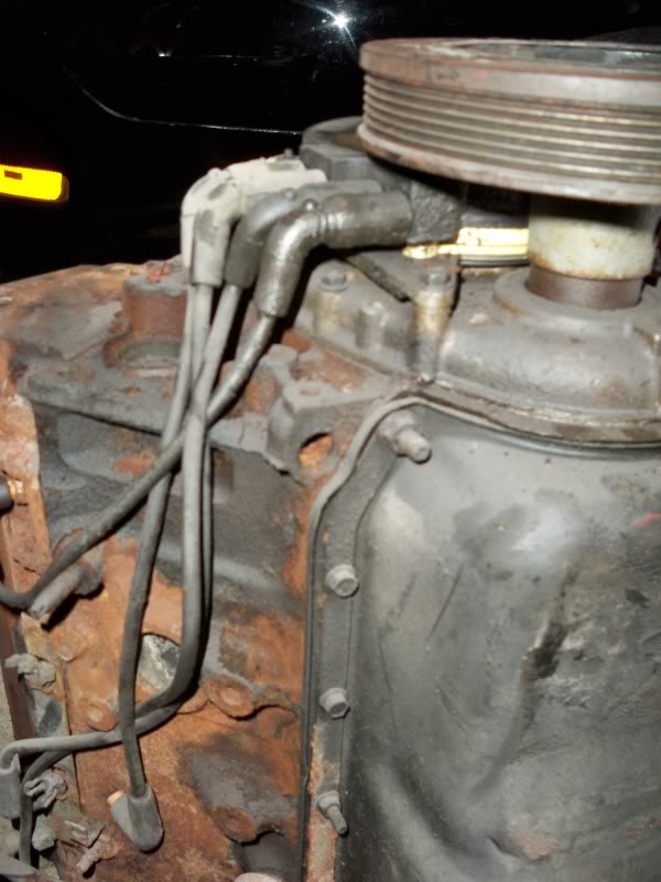 Name:  lt1Shortblocks008.jpg
Views: 8
Size:  76.1 KB