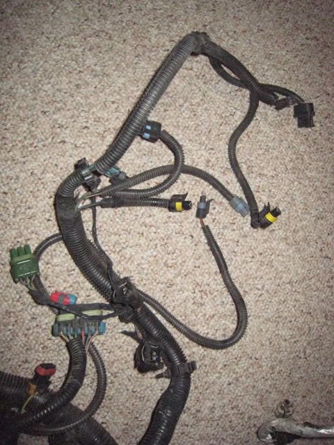 94 97 Lt1 Engine Wire Harness