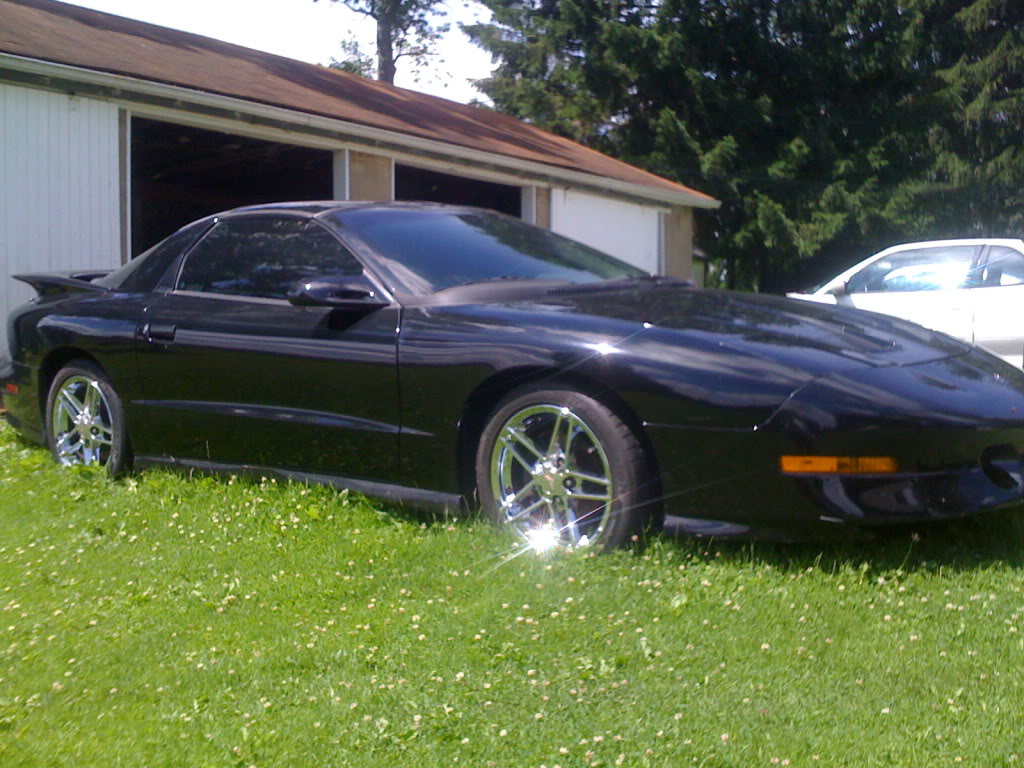 Name:  transammm.jpg
Views: 21
Size:  154.0 KB