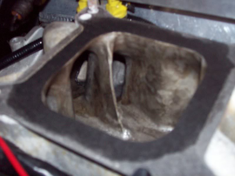 Name:  100_0370.jpg
Views: 23
Size:  43.1 KB