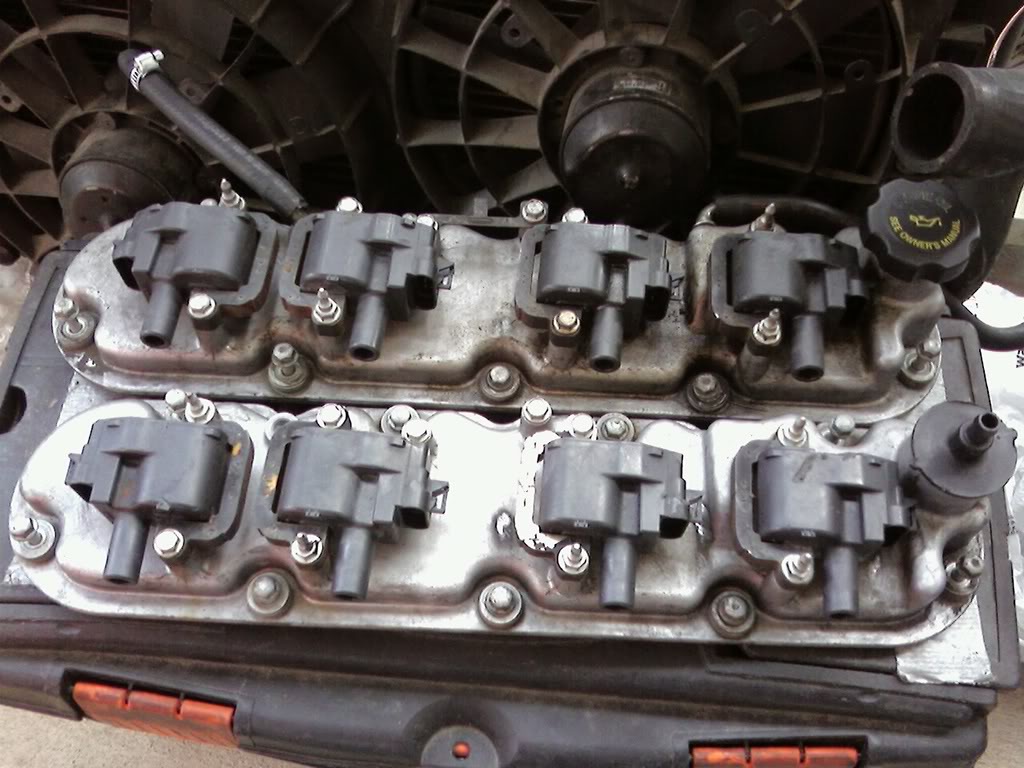Name:  valvecovers1.jpg
Views: 1427
Size:  119.0 KB