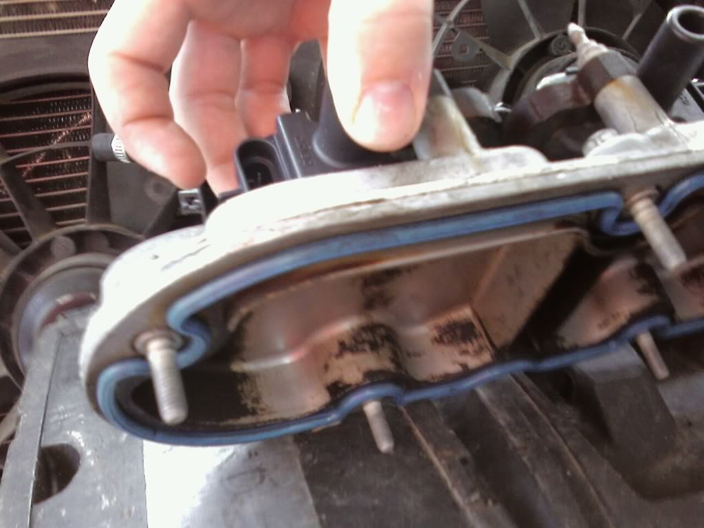 Name:  valvecovers3.jpg
Views: 381
Size:  75.1 KB