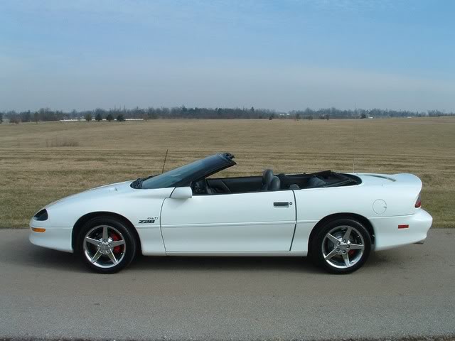 Name: Picture005.jpg
Views: 22
Size: 40.0 KB