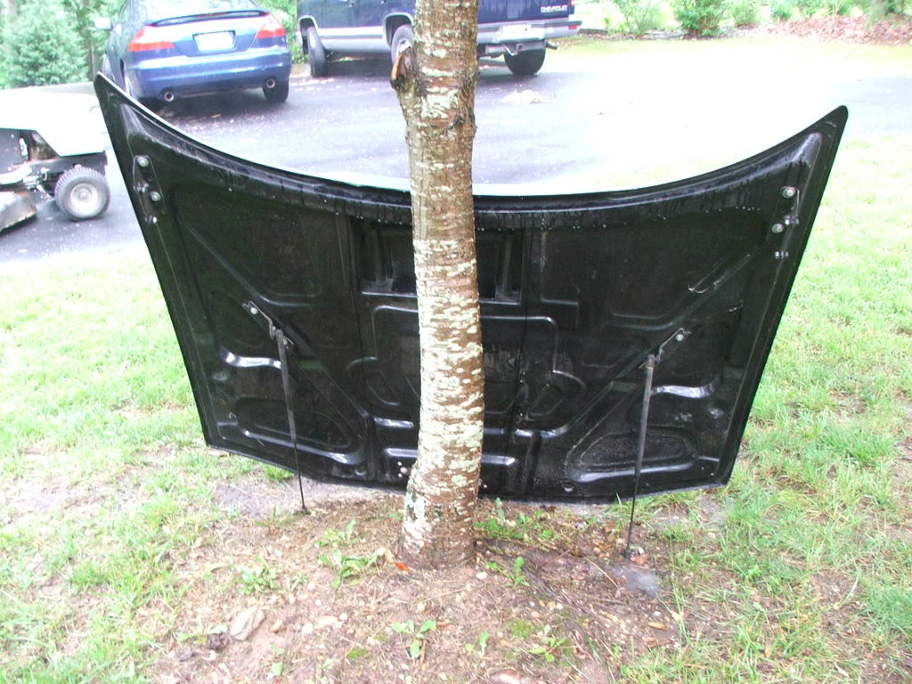 Name:  Hoodpics014.jpg
Views: 15
Size:  158.4 KB