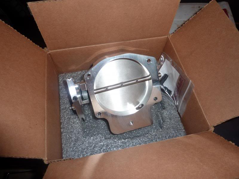 Name:  P1030575.jpg
Views: 57
Size:  54.4 KB