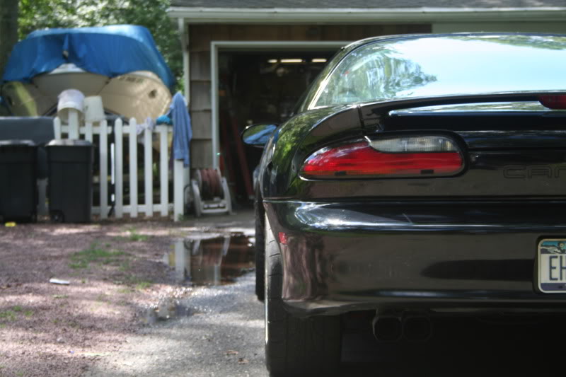 Name:  Camaro9-1-09008.jpg
Views: 170
Size:  79.2 KB