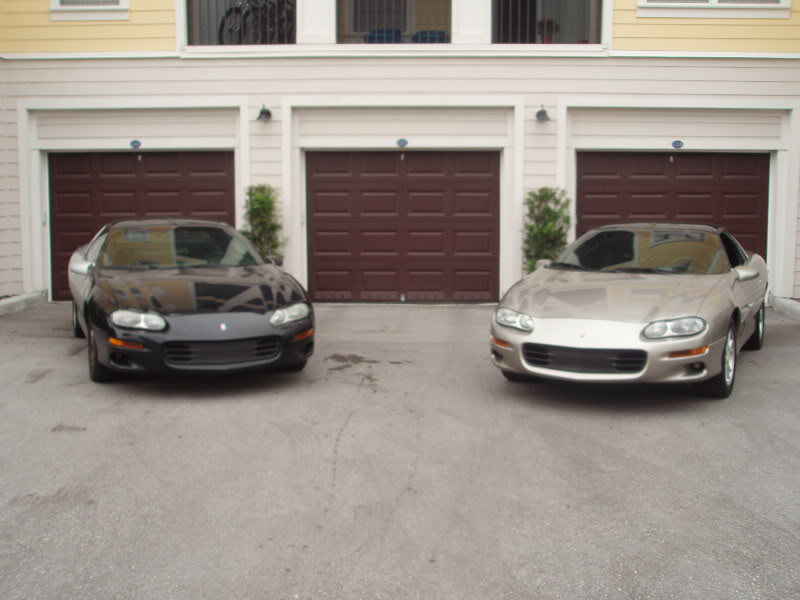 Name:  PB060182.jpg
Views: 38
Size:  57.9 KB