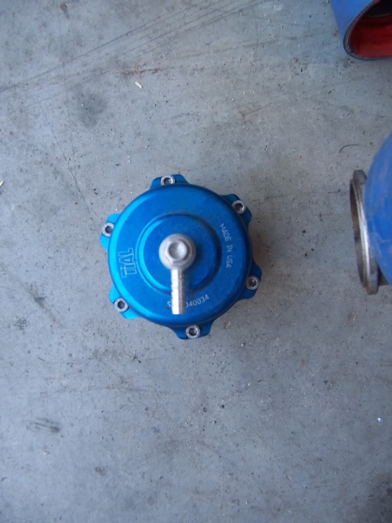 Name: 100_3589.jpg
Views: 2177
Size: 88.4 KB