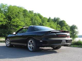 Name:  CAMARODRIVERSSIDEREAR.jpg
Views: 25
Size:  22.3 KB