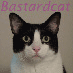 Bastardcat's Avatar