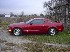 94PoloGreenZ28's Avatar