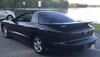 Shane'sz28's Profile Picture