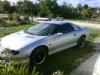 Caymanstyle345's Profile Picture